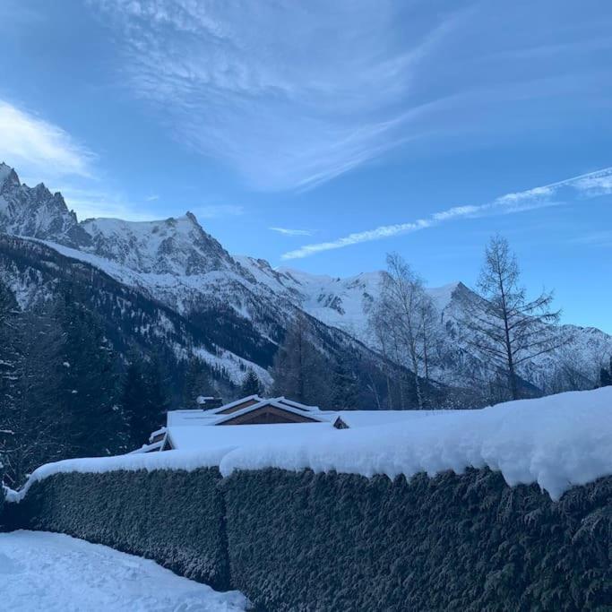 Belle Vue Des Praz Apartment Chamonix Exterior foto