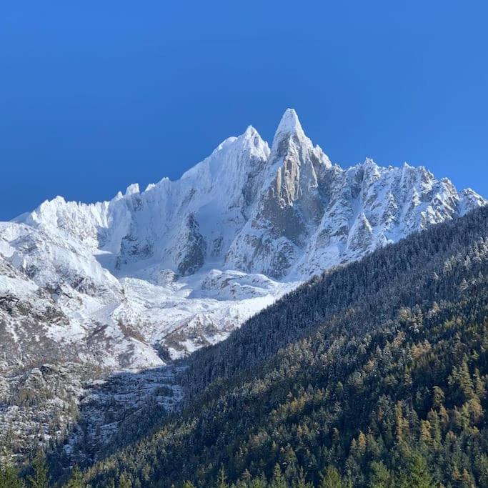 Belle Vue Des Praz Apartment Chamonix Exterior foto